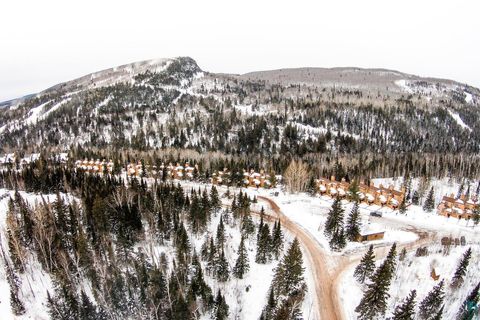 Tiny photo for 111 Bridge Run Ln #111, Lutsen, MN 55612 (MLS # 6125050)