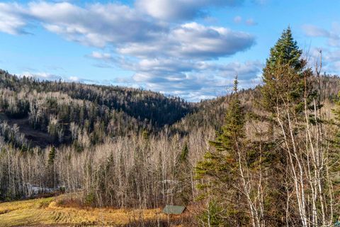 Tiny photo for 111 Bridge Run Ln #111, Lutsen, MN 55612 (MLS # 6125050)