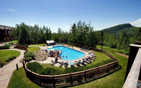 Tiny photo for 111 Bridge Run Ln #111, Lutsen, MN 55612 (MLS # 6125050)