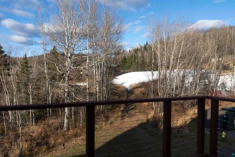 Tiny photo for 111 Bridge Run Ln #111, Lutsen, MN 55612 (MLS # 6125050)