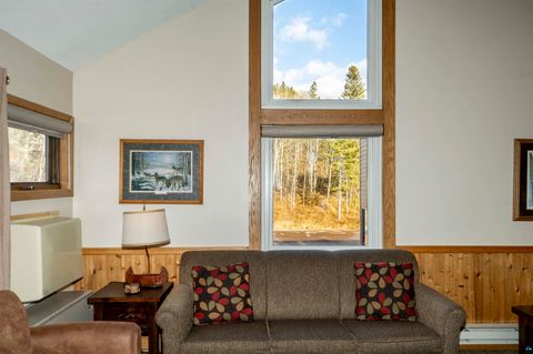 Tiny photo for 111 Bridge Run Ln #111, Lutsen, MN 55612 (MLS # 6125050)