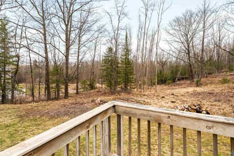 Tiny photo for 1504 Minneapolis Ave, Duluth, MN 55803 (MLS # 6124915)