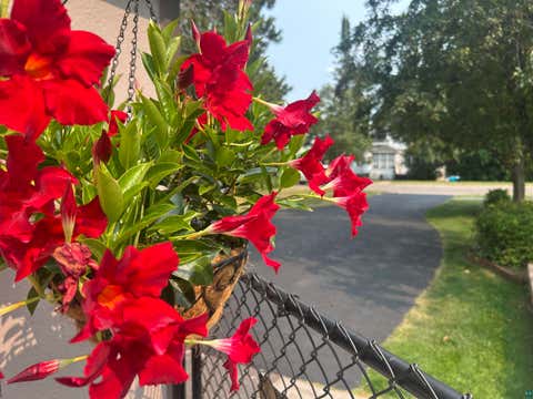 Tiny photo for 3821 W 7th St, Duluth, MN 55807 (MLS # 6127373)