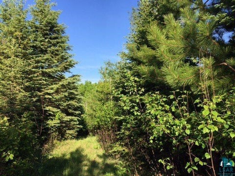 Tiny photo for 1142 Camp 20 Rd, Hovland, MN 55606 (MLS # 6125915)
