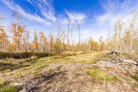 Tiny photo for xxx Amity Drive, Duluth, MN 55803 (MLS # 6123652)