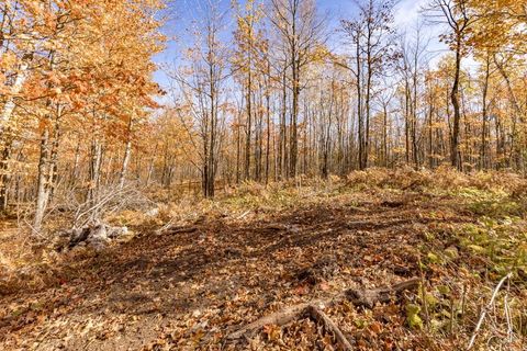 Tiny photo for xxx Amity Drive, Duluth, MN 55803 (MLS # 6123652)