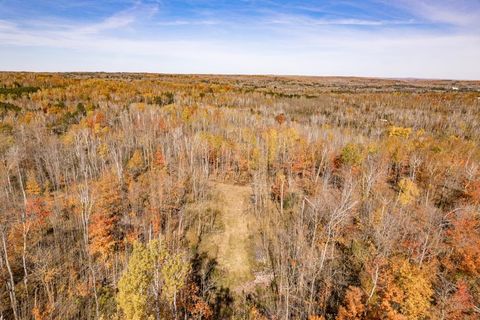 Tiny photo for xxx Amity Drive, Duluth, MN 55803 (MLS # 6123652)