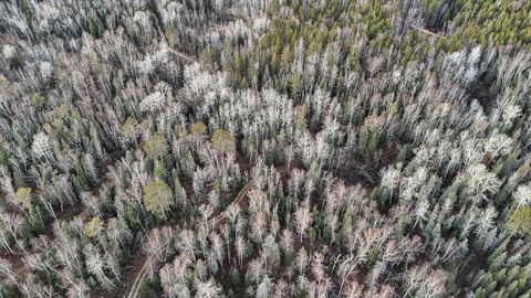 Tiny photo for TBD Arthur Lake, Babbitt, MN 55706 (MLS # 6123011)