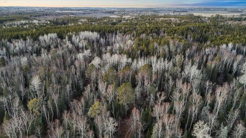 Tiny photo for TBD Arthur Lake, Babbitt, MN 55706 (MLS # 6123011)