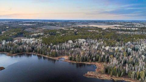 Tiny photo for TBD Arthur Lake, Babbitt, MN 55706 (MLS # 6123011)