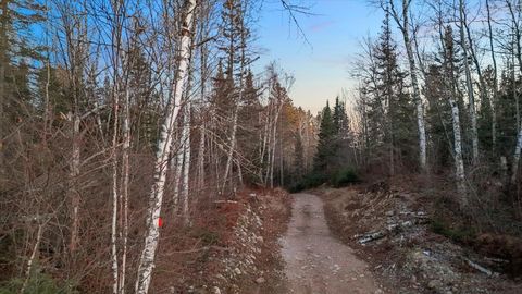 Tiny photo for TBD Arthur Lake, Babbitt, MN 55706 (MLS # 6123011)