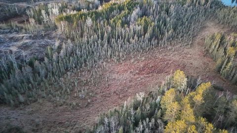 Tiny photo for TBD Arthur Lake, Babbitt, MN 55706 (MLS # 6123011)