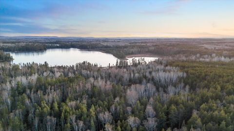 Tiny photo for TBD Arthur Lake, Babbitt, MN 55706 (MLS # 6123011)