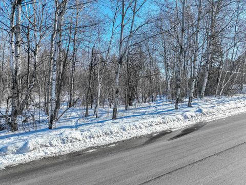 Tiny photo for 20 Stanford Ave, Duluth, MN 55811 (MLS # 6122937)