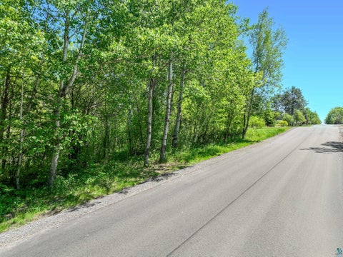 Tiny photo for 20 Stanford Ave, Duluth, MN 55811 (MLS # 6122937)