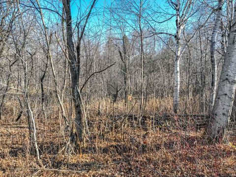 Tiny photo for 20 Stanford Ave, Duluth, MN 55811 (MLS # 6122937)