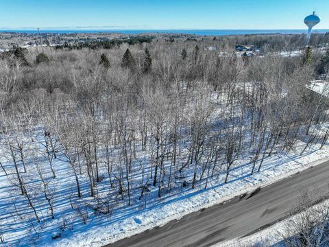 Tiny photo for 20 Stanford Ave, Duluth, MN 55811 (MLS # 6122937)