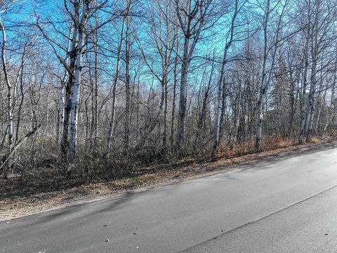 Tiny photo for 20 Stanford Ave, Duluth, MN 55811 (MLS # 6122937)