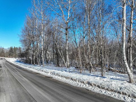 Tiny photo for 20 Stanford Ave, Duluth, MN 55811 (MLS # 6122937)