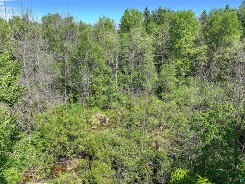 Tiny photo for 20 Stanford Ave, Duluth, MN 55811 (MLS # 6122937)