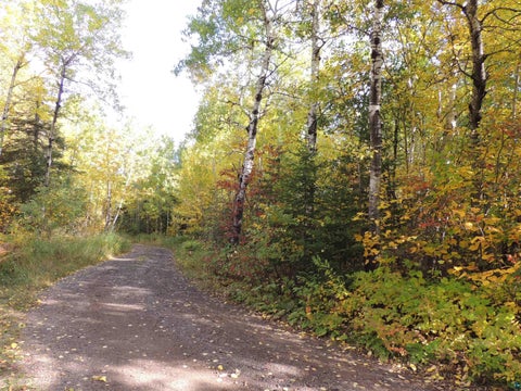 Tiny photo for XB Brandon Ln, Grand Marais, MN 55604 (MLS # 6128285)