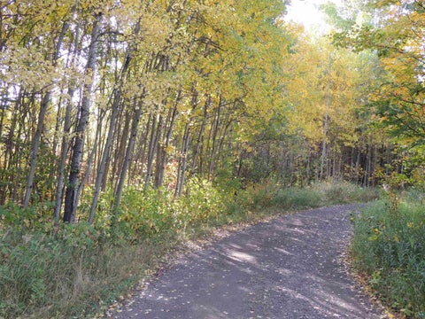 Tiny photo for XB Brandon Ln, Grand Marais, MN 55604 (MLS # 6128285)