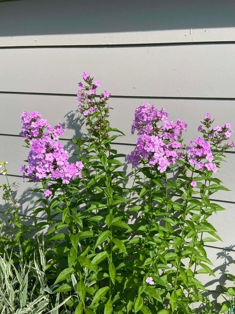 Tiny photo for 6202 Highway 73, Floodwood, MN 55736 (MLS # 6124038)