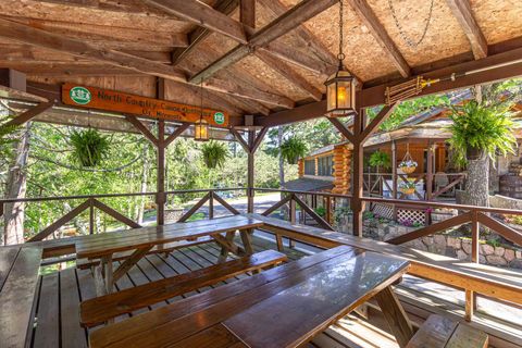 Tiny photo for 474 Kawishiwi Tr, Ely, MN 55731 (MLS # 6123598)