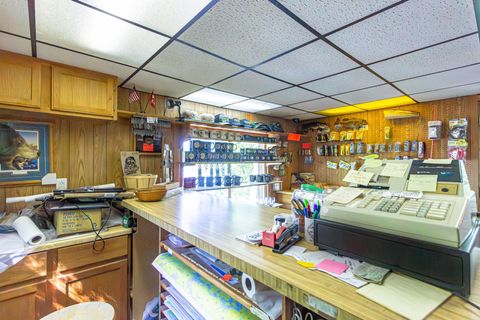 Tiny photo for 474 Kawishiwi Tr, Ely, MN 55731 (MLS # 6123598)