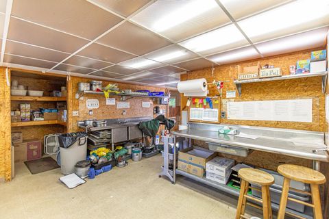 Tiny photo for 474 Kawishiwi Tr, Ely, MN 55731 (MLS # 6123598)