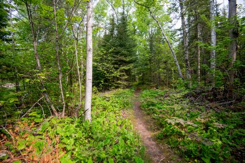 Tiny photo for 23 Senty Rd, Grand Marais, MN 55604 (MLS # 6123245)