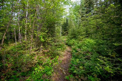 Tiny photo for 23 Senty Rd, Grand Marais, MN 55604 (MLS # 6123245)