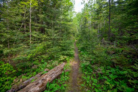 Tiny photo for 23 Senty Rd, Grand Marais, MN 55604 (MLS # 6123245)