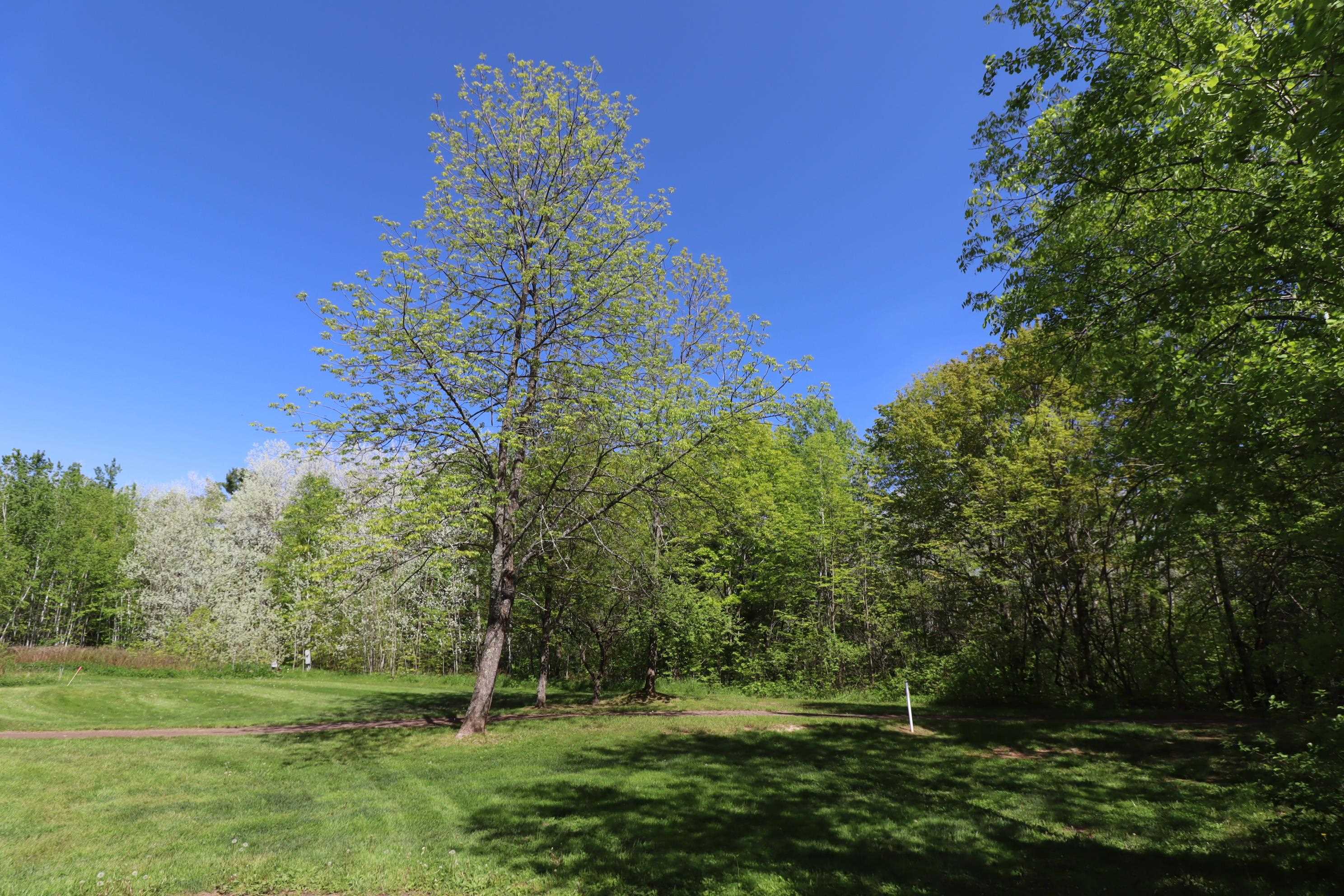 Lots 19 & 38 Eagle Run