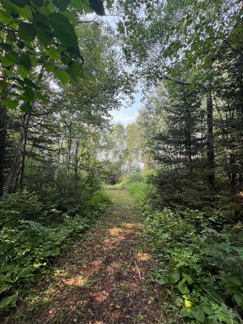 Tiny photo for 5445 Little Marais Rd, Finland, MN 55603 (MLS # 6122202)