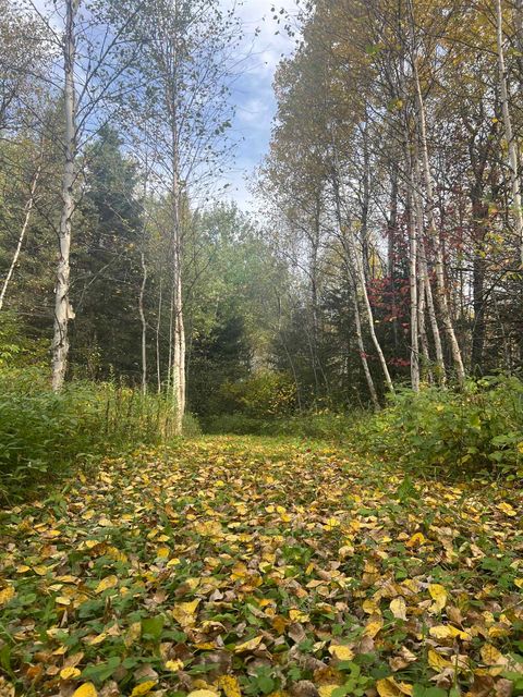 Photo of 5445 Little Marais Rd, Finland, MN 55603 (MLS # 6122202)