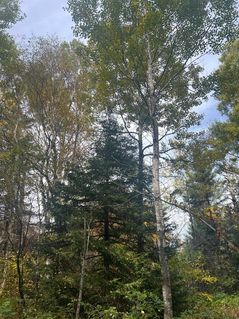 Tiny photo for 5445 Little Marais Rd, Finland, MN 55603 (MLS # 6122202)