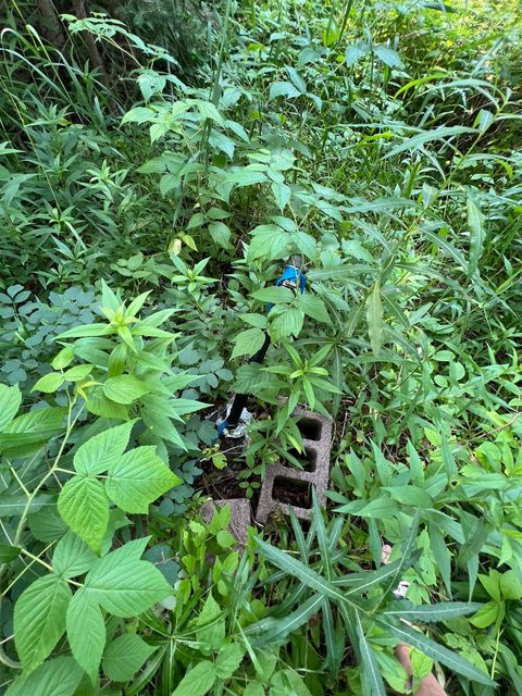 Tiny photo for 5445 Little Marais Rd, Finland, MN 55603 (MLS # 6122202)