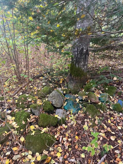 Tiny photo for 5445 Little Marais Rd, Finland, MN 55603 (MLS # 6122202)