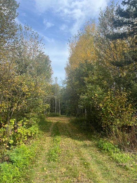 Tiny photo for 5445 Little Marais Rd, Finland, MN 55603 (MLS # 6122202)