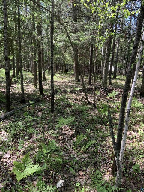 Tiny photo for 0000 Bass Lake Rd, Gilbert, MN 55741 (MLS # 6124094)