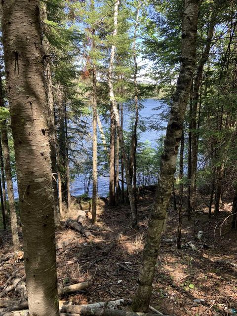 Tiny photo for 0000 Bass Lake Rd, Gilbert, MN 55741 (MLS # 6124094)