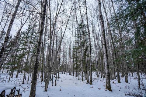 Tiny photo for 0000 Bass Lake Rd, Gilbert, MN 55741 (MLS # 6124094)