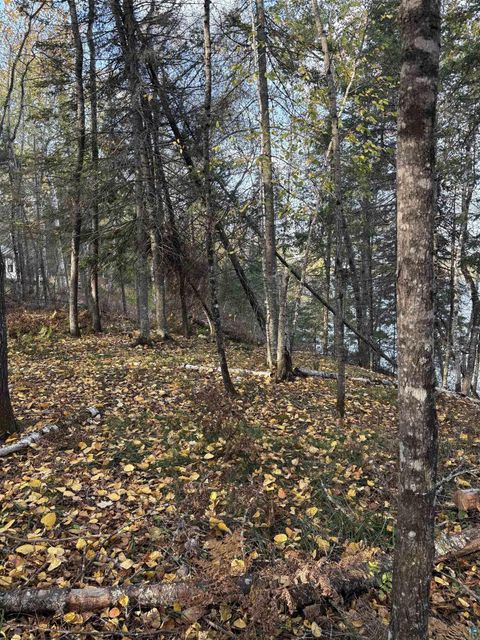 Tiny photo for 0000 Bass Lake Rd, Gilbert, MN 55741 (MLS # 6124094)