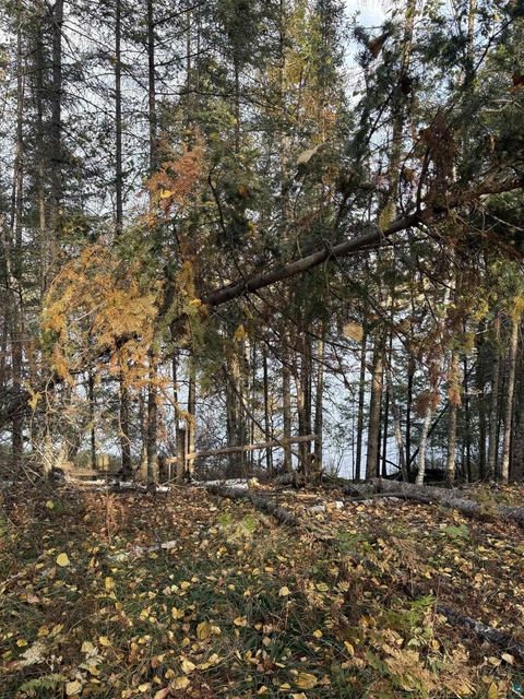 Tiny photo for 0000 Bass Lake Rd, Gilbert, MN 55741 (MLS # 6124094)