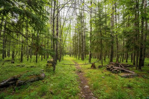 Tiny photo for 0000 Bass Lake Rd, Gilbert, MN 55741 (MLS # 6124094)