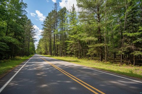 Tiny photo for 0000 Bass Lake Rd, Gilbert, MN 55741 (MLS # 6124094)