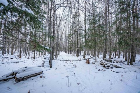 Tiny photo for 0000 Bass Lake Rd, Gilbert, MN 55741 (MLS # 6124094)