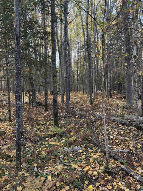 Tiny photo for 0000 Bass Lake Rd, Gilbert, MN 55741 (MLS # 6124094)