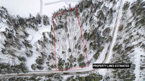 Tiny photo for 0000 Bass Lake Rd, Gilbert, MN 55741 (MLS # 6124094)